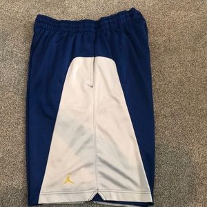 Jordan Shimmer athletic shorts